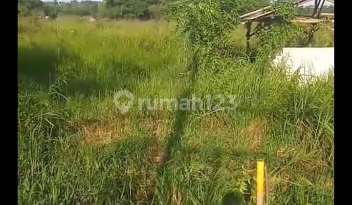 Tanah Dijual Di Cileles Tigaraksa Tangerang 1 Km Dari Pintu Tol Tanah Dijual Di Cileles Tigaraksa Tangerang 1 Km Dari Pintu Tol