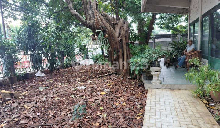 Rumah Besar Dan Sudah Lama Harus Bangun Baru Bisa Sekolah Bisa Gym Dan Resto 2