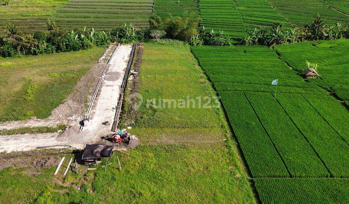 Tanah 555m2 Super Bagus Cocok Untuk Villa -view Ricefield 2