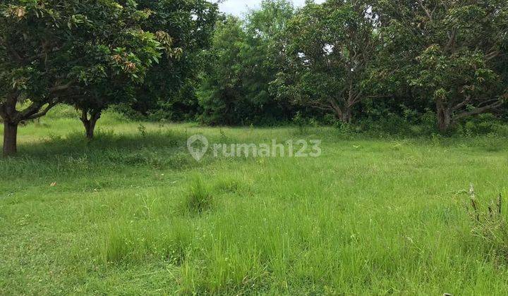 Land 440m2 for Residence or Villa Kutuh - Nusa Dua 1