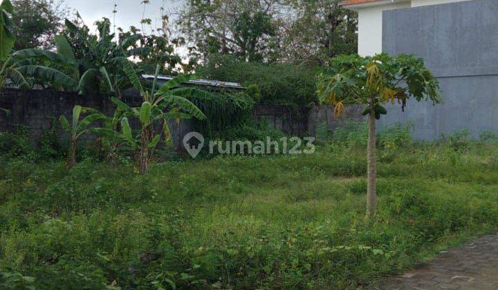 Tanah 500m2 Cocok Untuk Kosan Atau Villa - Jimbaran 2