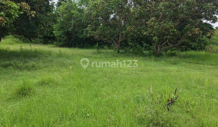 Land 440m2 for Residence or Villa Kutuh - Nusa Dua 2