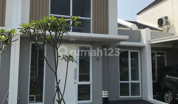 For Quick Sale House In Canna Paramount Petal Cluster 1