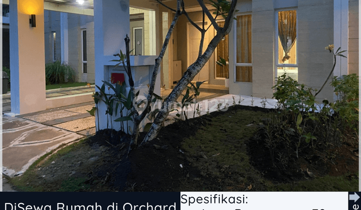 Disewa Rumah di Orchard Park Batam Center 1