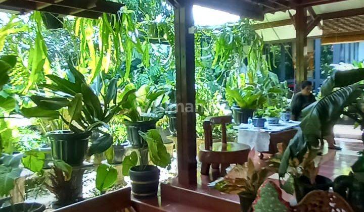 Rumah Kebun Hadap Timur Terdiri Dari 2 Sertifikat. Ada Paviliun 2