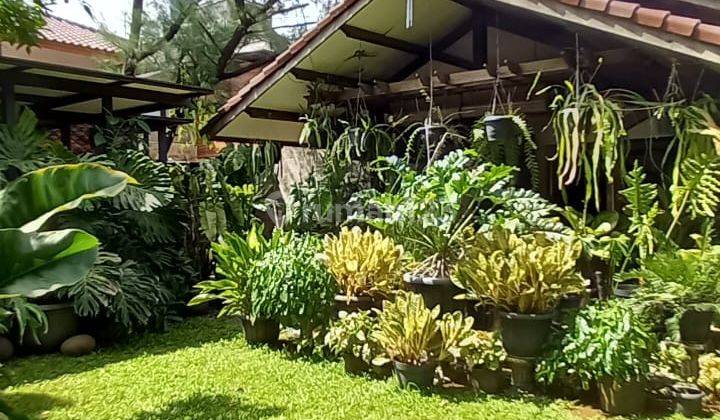 Rumah Kebun Hadap Timur Terdiri Dari 2 Sertifikat. Ada Paviliun 1