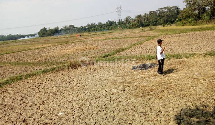 Dijual Tanah Darat Sawah di Pamarayan, Serang. SHM 2