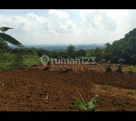 MURAH..!! TANAH LUAS 15.016M2 DI BABAKAN MADANG, SENTUL BOGOR  2