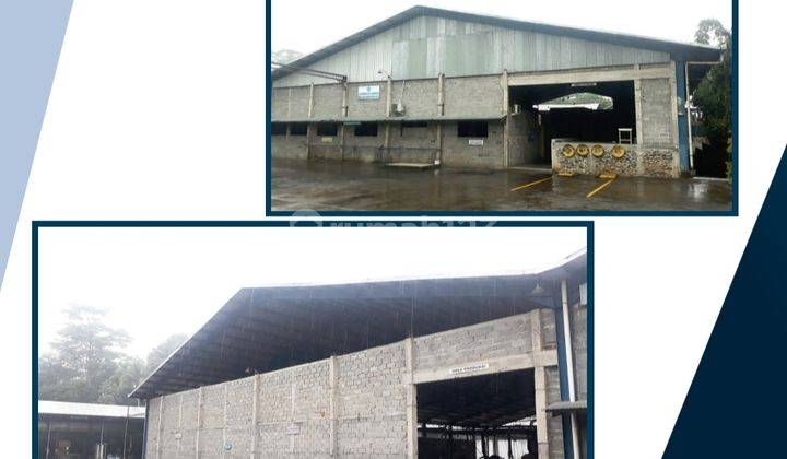 DIJUAL CEPAT.. PABRIK DAN EX KANTOR INDUSTRIAL WOOD @ BATANG - SEMARANG 1