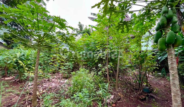 Dijual Rumah Di Jati Padang Pasar Minggu   2