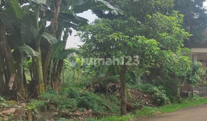 Kavling Murah Ngantong di Melati Mas Serpong Kavling Murah Ngantong di Melati Mas Serpong