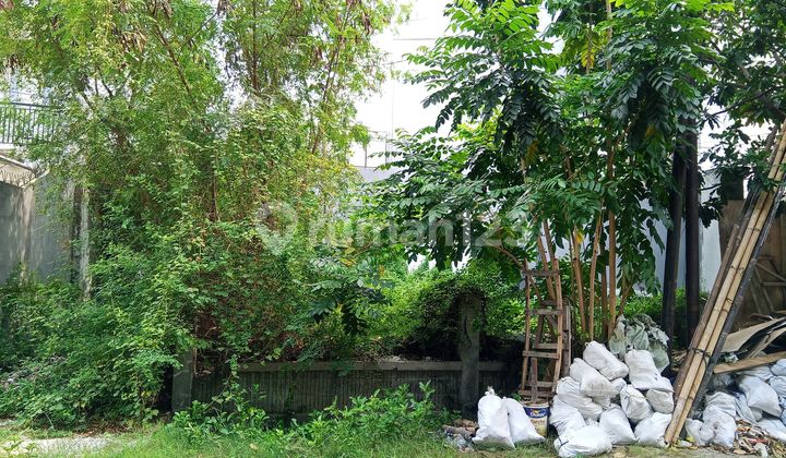 Plot Inside the Housing Complex