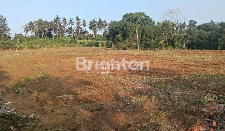 PRIME LAND FOR SALE  PERFECT FOR INVESTMENT AT BURUAN GIANYAR 2