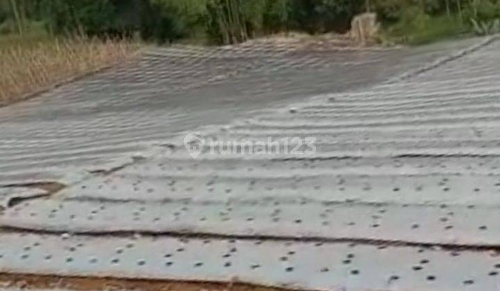 Tanah Kebun Pangalengan Dekat Situ Cileunca, Untuk Wisata 3