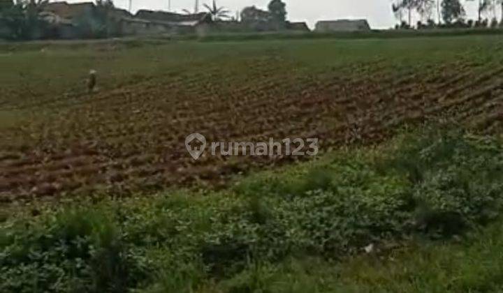 Tanah Kebun Pangalengan Dekat Situ Cileunca, Untuk Wisata 6