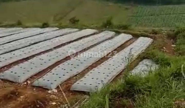 Tanah Kebun Pangalengan Dekat Situ Cileunca, Untuk Wisata 8