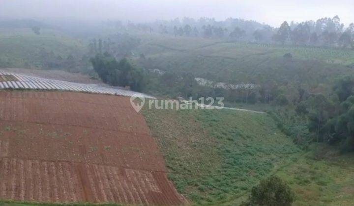 Tanah Kebun Pangalengan Dekat Situ Cileunca, Untuk Wisata 16