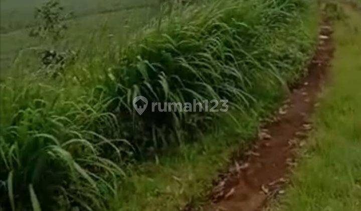 Tanah Kebun Pangalengan Dekat Situ Cileunca, Untuk Wisata 18
