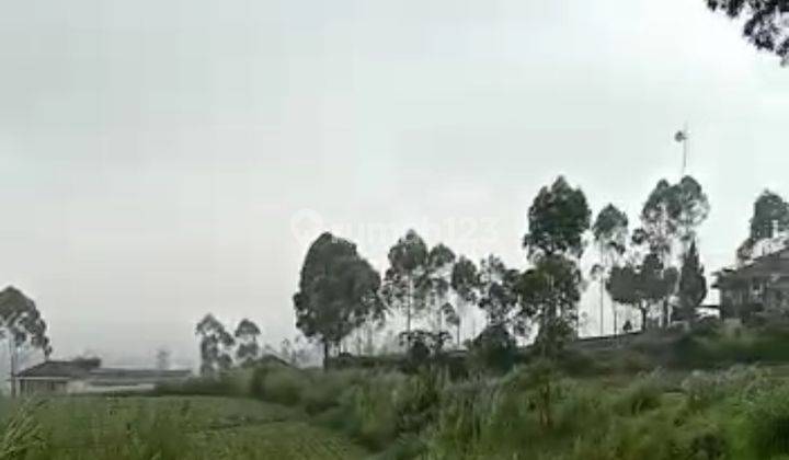 Tanah Kebun Pangalengan Dekat Situ Cileunca, Untuk Wisata 20