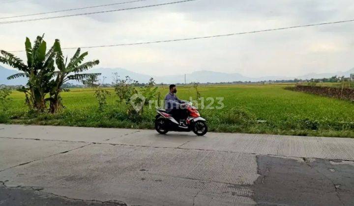 Tanah Mainroad Rancaekek - Majalaya Bandung Zona Kuning Untuk Perumahan 2