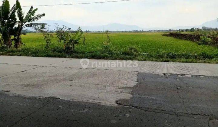 Tanah Mainroad Rancaekek - Majalaya Bandung Zona Kuning Untuk Perumahan 5