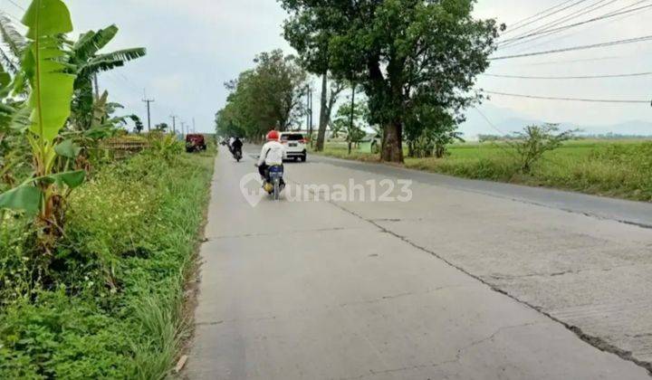 Tanah Mainroad Rancaekek - Majalaya Bandung Zona Kuning Untuk Perumahan 3