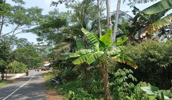 Murah,Di jual cepat Tanah daerah Pangandaran 800 jutaan,Lt 8582 m  6