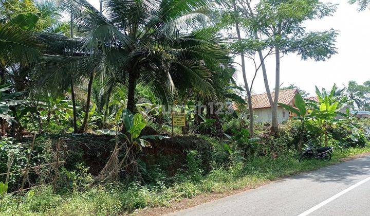 Murah,Di jual cepat Tanah daerah Pangandaran 800 jutaan,Lt 8582 m  7