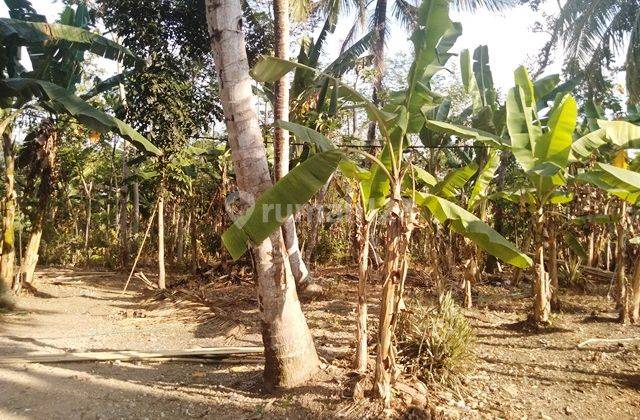 Di jual cepat dan Murah!Tanah area Pangandaran CCk U/Usaha 9