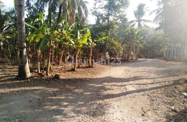Di jual cepat dan Murah!Tanah area Pangandaran CCk U/Usaha 8