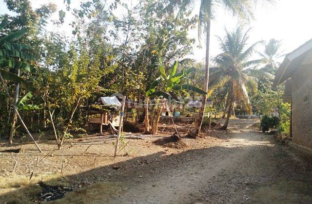 Di jual cepat dan Murah!Tanah area Pangandaran CCk U/Usaha 10