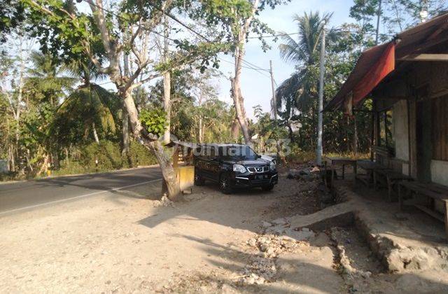 Di jual cepat dan Murah!Tanah area Pangandaran CCk U/Usaha 16