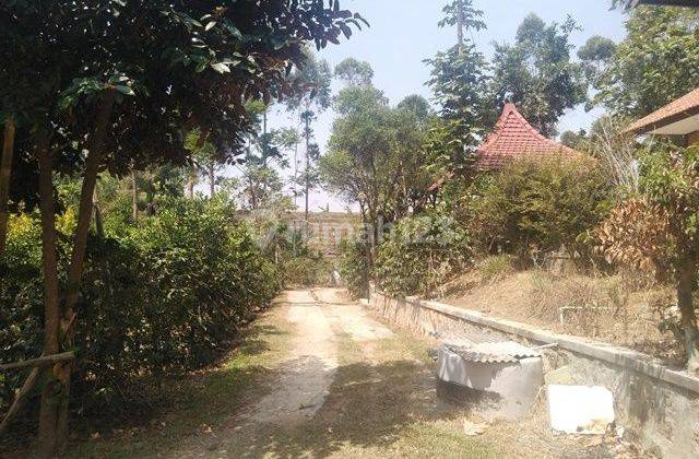 Di Jual Cepat Tanah Kebun + Villa+ Balong Lokasi Lebak Muncang Ciwidey Dkt Kantor Kecamatan Ciwidey,Tanah Kebun Luas Ada  Pohon  Kopi Duren Sawo Dll+ Ada villanya Biasa Di Sewakan Harian Dan Week End,Cck U / Investasi  2