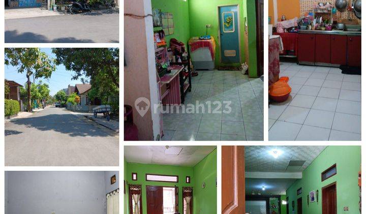 Jual Cepat Rumah Murah Komplek Cempaka Arum Gedebage Dkt Summarecon Stadion Gbla Jarang Ada Cck U/ Usaha / Tinggal  1