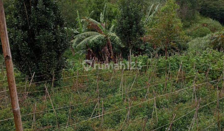 Tanah SHM 33720 m2 Samarang, Garut 1