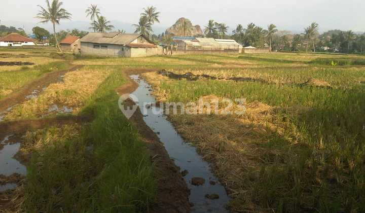 Di Jual Cepat Tanah Datar+sawah Harga Murah Tanah Sangat Luas, Lokasi Cianjur Sukamaju Dkt Jl Printis,jarang Ada Cck U/perumahan ,bisa Beli Sebagian 