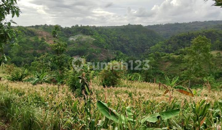 Tanah 10785 m2 SHM Bungbulang, Garut