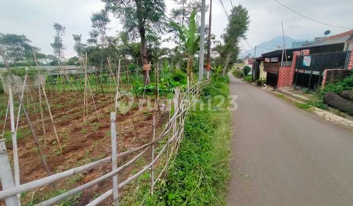 Jual Cepat Tanah Murah Tanjung Sari Sumedang Dkt Tol Pamulihan Harga 400 Jutaan Lt 434m,jarang Ada Murah Cck U/ Ruko/ Rumah Tinggal Dll
