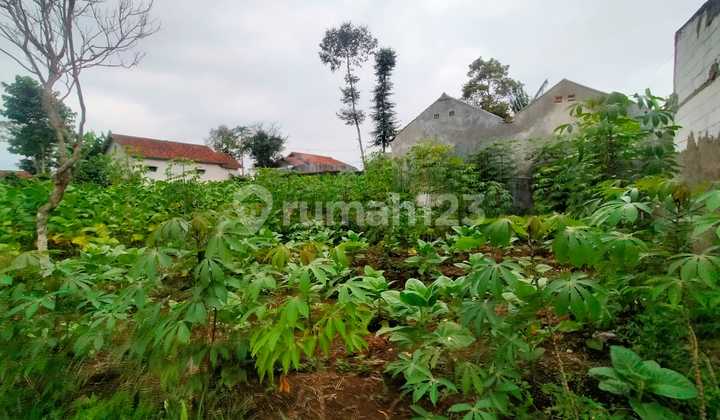 Jual Tanah Murah Siap Bangun 200 Jutaan Tanah Luas 532m,lokasi Tanjung Sari Sumedang Dkt Tol Pamulihan Jarang Ada Murah Harga Nego Cck U/ Invest