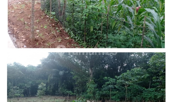 Quick Sale Spacious House Sumedang Taman Sari Cibugel Rare Opportunity Quick Sale Spacious House Sumedang Taman Sari Cibugel Rare Opportunity