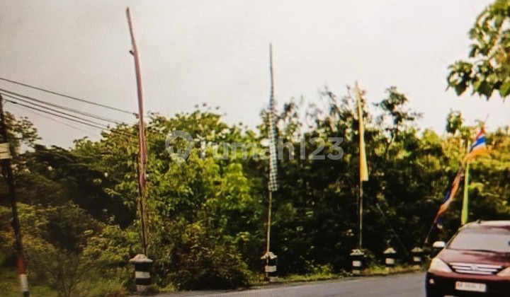 Jual Cepat, Murah, Tanah Bonus Bangunan Potensial Investasi Daerah Istimewa Yogyakarta