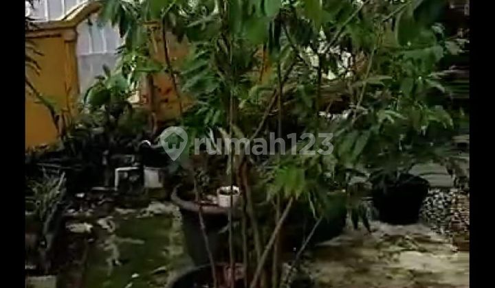 Jual Cepat Investasi Untung  2