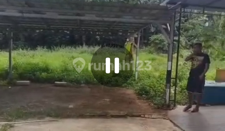 Kalisari Quick Sale Kalisari Quick Sale