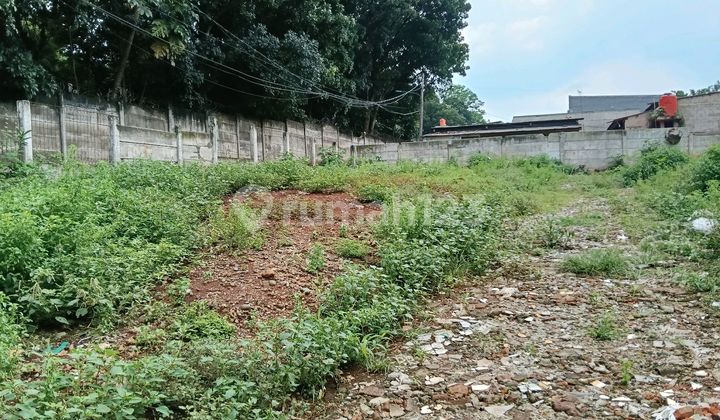 Profit Rent Condet Raya