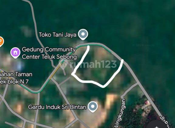 Dijual Cepat Dan Murah 2.3ha Tanah Simpang Lagoi Riau Shm 1