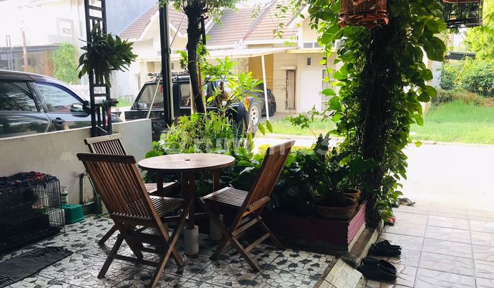 Cluste Napoli Rumah 2