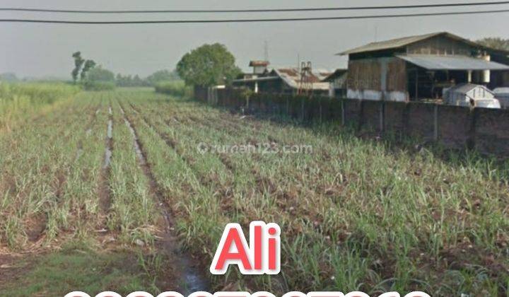 Tanah industri murah karang winongan Mojoagung jombang 1