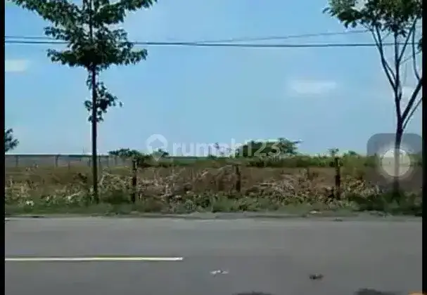 Tanah Industri Termurah Raya Widang Tuban Jalur Provinsi Jawa Timur 3