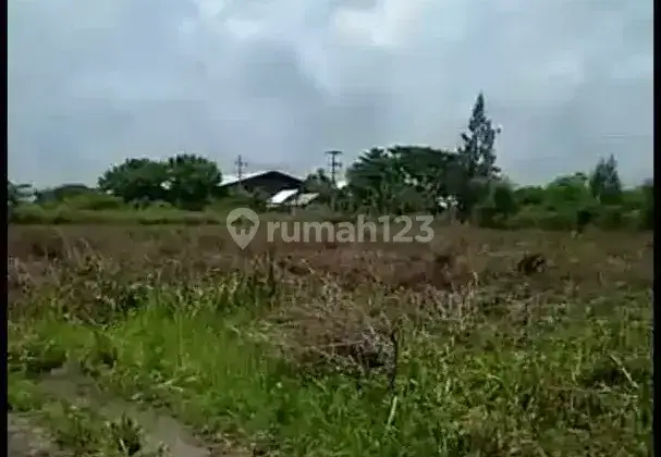 Tanah Industri Termurah Raya Widang Tuban Jalur Provinsi Jawa Timur 4