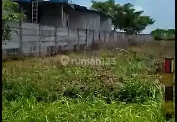Tanah Industri Termurah Raya Widang Tuban Jalur Provinsi Jawa Timur 5